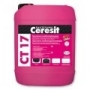 grunt_ct_17